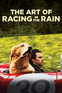 ดูหนัง The Art of Racing in the Rain (2019) อุ่นไอหัวใจตูบ