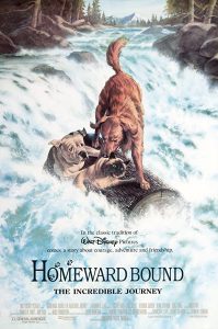 ดูหนัง Homeward Bound: The Incredible Journey (1993) สองหมาหนึ่งแมว ใครจะพรากเราไม่ได้