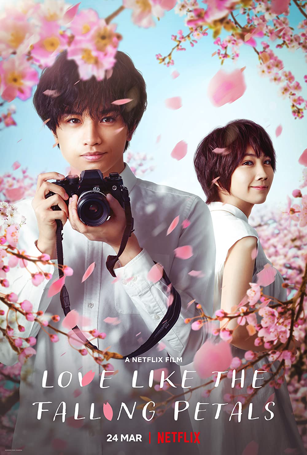 ดูหนัง Love Like the Falling Petals (2022) ใบไม้ผลิที่ไม่มีเธอเป็นซากุระ