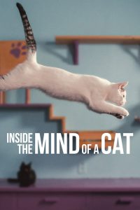 สารคดี Inside the Mind of a Cat (2022) คิดแบบแมวๆ